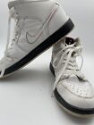 Nike Air Jordan Cinco De Mayo Retro Shoes