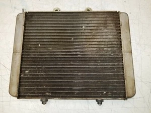 2014 Polaris Sportsman 800 Radiator  - Picture 1 of 2