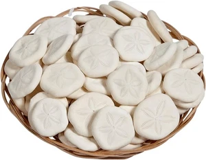 Lote surtido de 100 galletas de mar en cesta pequeños dólares de arena 0,75-1" (juego de 100) - Imagen 1 de 3