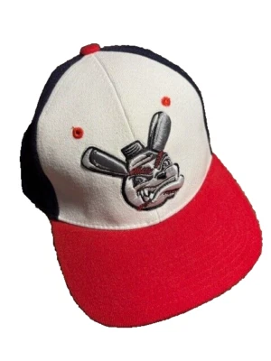 American Association Dog Baseball Zephyr Z Fit M/L Hat - Image 1 of 3