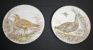 2ct British Anchor England WILDBIRDS OF HEATH & MOORLAND 10" ANZEIGEPLATTEN - Bild 1 von 6