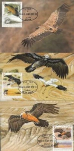 JUDAICA - ISRAEL Sc # 1969-71 SET of 3 MAXIMUM CARDS for ENDANGERED VULTURES - Bild 1 von 1