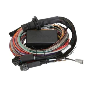 Haltech Elite 2500 & 2500 T Premium Universal Wire-in Harness - Picture 1 of 1