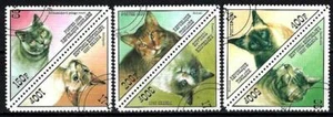 Katzen Afghanistan 1999 (2) Yvert Nr. nicht aufgeführt gestempelt used - Bild 1 von 1
