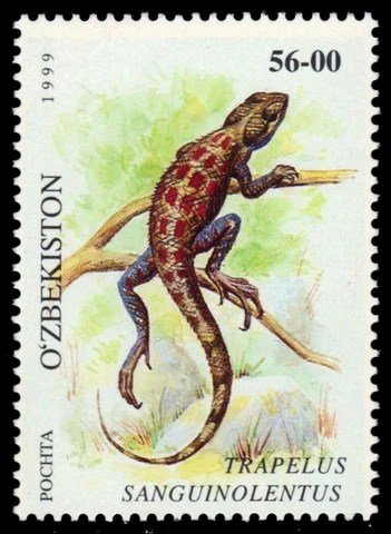 UZBEKISTAN 184 - Steppe Agama "Trapelus sanguinolentus" (pb65964) Cover