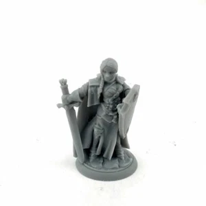 Bones EE. UU.: Dungeon Dwellers Isabeau Laroche, Paladín Femenino Nuevo - Imagen 1 de 1