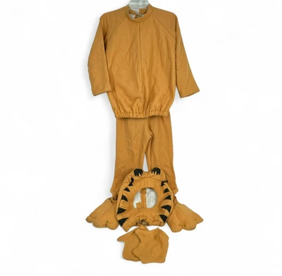 Homemade Child Tiger Halloween Costume Shirt Pants Headpiece Gloves Shoe Covers - Image 1 of 4
