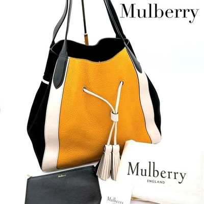 Bolso de Mano Mulberry Cuero Refuerzo Amarillo Auténtico de Japón RA Foto 1 de 4