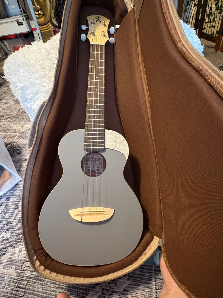 aNueNue Concert Ukulele, UC10, Quiet Shade , low G, w/case, pre loved - Image 1 of 4