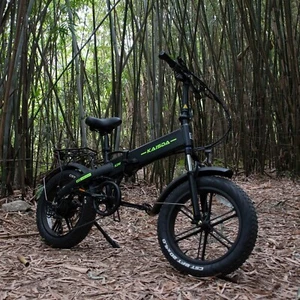 E Bike Klapprad 20 Zoll Elektrofahrrad Mountainbike 500W 48V Citybike für Herren - Bild 1 von 9
