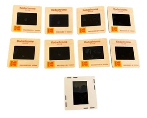 Chris Evert 8 Kodachrome 35mm Photo Slides 1983 Tennis - Picture 1 of 9