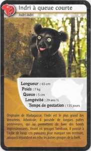 Carte Super U - Bioviva! - Indri à queue courte - Picture 1 of 2