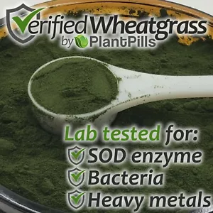 500 grams PlantPills Raw Field Grown Freeze Dried Kamut® Wheatgrass Juice Powder - Picture 1 of 12