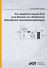 Ein adaptives Impuls-EVG zum Betrieb von dielektrisch behinderten Gasentladungsl