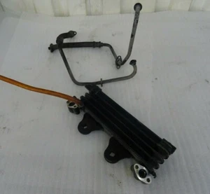 B1. Enfriador de aceite Honda CBX 750 RC17 + tuberías enfriador de aceite oilcooler oil cooler - Imagen 1 de 5