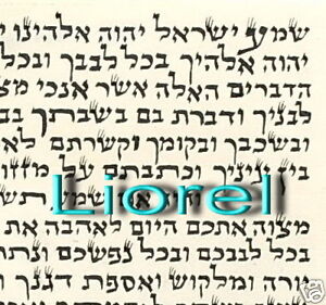 4" 10cm Good Quality Kosher Jewish Mezuzah Scroll Parchment Klaf Home Blessing