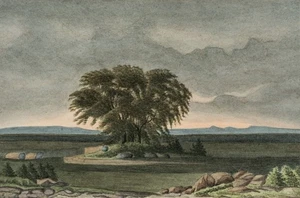 Tormenta creciente sobre paisaje con roble, hacia 1890, desconocido (siglo XIX) - Imagen 1 de 8