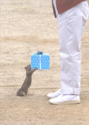 Squirrel Giving Present to Man in White Pants Funny Birthday Card for Him  Men - Image 1 of 2