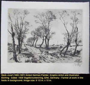 Acquaforte originale 1926 JOSEF STEIB artista elencato " ciliegi selvatici nell'Eifel " - Foto 1 di 3