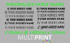 Personalised Horse Name Graphics Stickers Decals Vinyl Horse Box Lorry Hor8