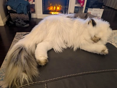 Russ винтажный гималайский персидский кот Йомико плюшевая мягкая игрушка реалистичный  - Изображение 1 из 4