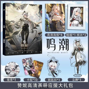 Zani Anime Wuthering Waves WuWa Keychain Pendant Button Brooch Posters Card Sets - Imagen 1 de 1