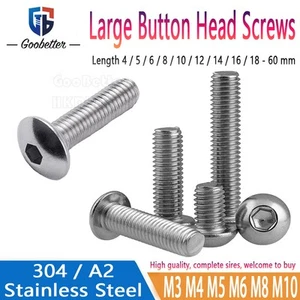 Viti a testa di bottone grande esagonale bulloni a brugola A2 acciaio inox M3 - M10 - Foto 1 di 83