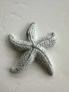 Cast Iron Starfish Beach House Decor Paper Weight White - Picture 1 of 2