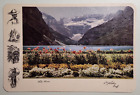 Lake Louise   Banff   Canada Postcard