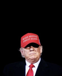 FÓSFORO BLANCO HACER HENTAI GREAT AGAIN SOMBRERO NO GBRS QILO WRMFZY SUPDEF NIEBLA - Imagen 1 de 1