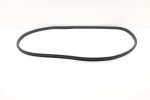 2023 - 2024 FISKER OCEAN REAR RIGHT SIDE DOOR SEAL WEATHER STRIP STRIPPING OEM - Picture 1 of 9