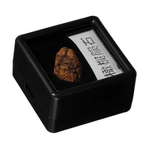 Muestra de meteorito de oliva especímenes infantiles astronomía enseñanza modelo piedra - Imagen 1 de 12