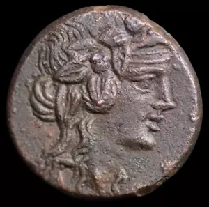 Antiguo griego Pontos Amisos Tiempo de Mitrídates VI Eupator circa 120-63 aC. #1336 - Imagen 1 de 4