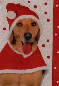 Tarjetas de regalo de Navidad Amarillo Laboratorio Labrador Cachorro Perro Portadores de dinero - Juego de 3 - Imagen 1 de 3