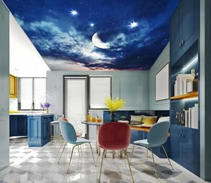 3D Sky Stars I5929 Techo Papel Pintado Murales Impresión Pared Calcomanía Deco Erin 2023 - Imagen 1 de 5