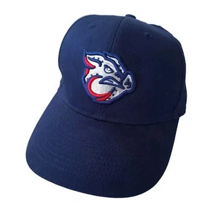 Mütze Kappe MiLB Lehigh Valley Iron Pigs marineblau Erwachsene verstellbar Baseball bestickt - Bild 1 von 8