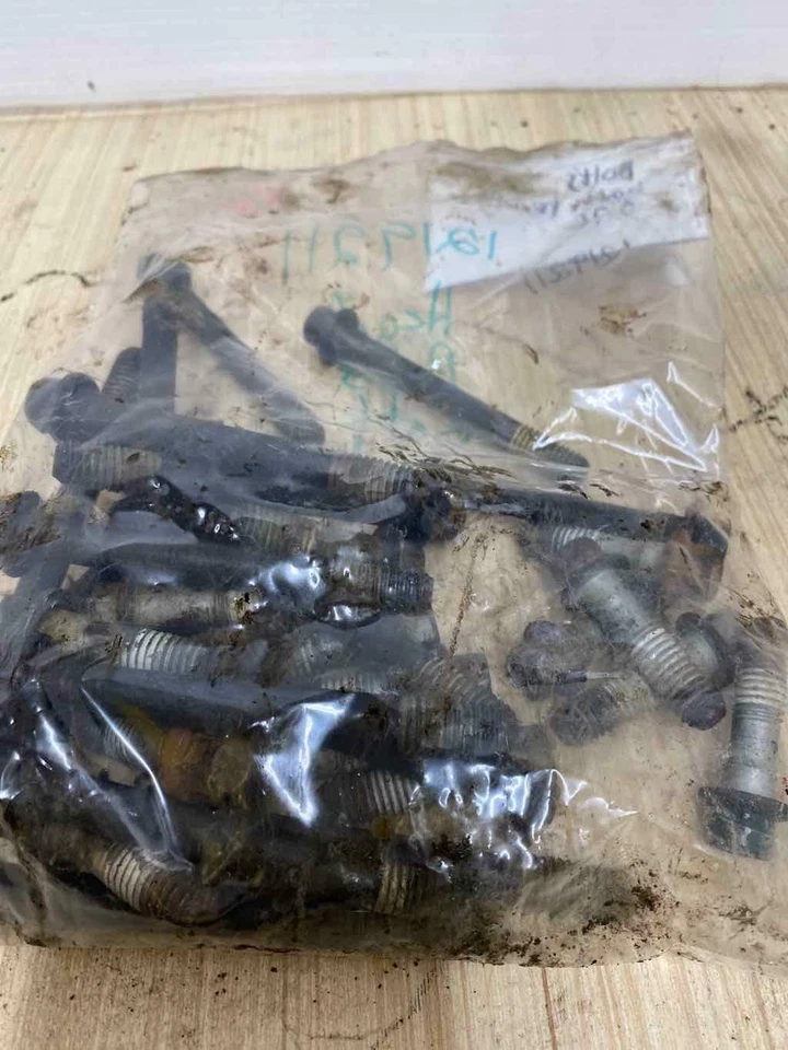 雪佛兰皮卡 1500 雪佛兰气缸盖仅两侧螺栓 96 97 98 99 — 第 1/1 张图片