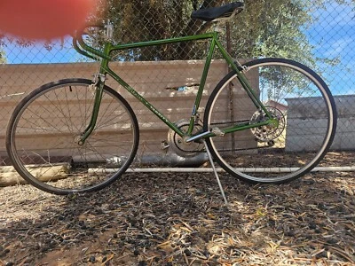 1972 Schwinn Varsity e 1972 Schwinn Suburban - Imagem 1 de 4