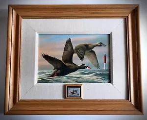 Rare 1996 Federal Duck Stamp Print Canvas Edition - Wilhelm Goebel - 45 of 300 - Picture 1 of 6