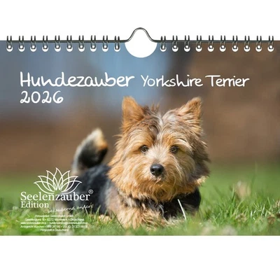 SEELENZAUBER GMBH Hundezauber Yorkshire Terrier DIN A5 Kalender für 2026 Welpen und Hunde - Seelen