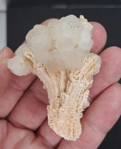 EXCELENTE etapa única Aragonita con calcita, Trepca 2025 - Imagen 1 de 15