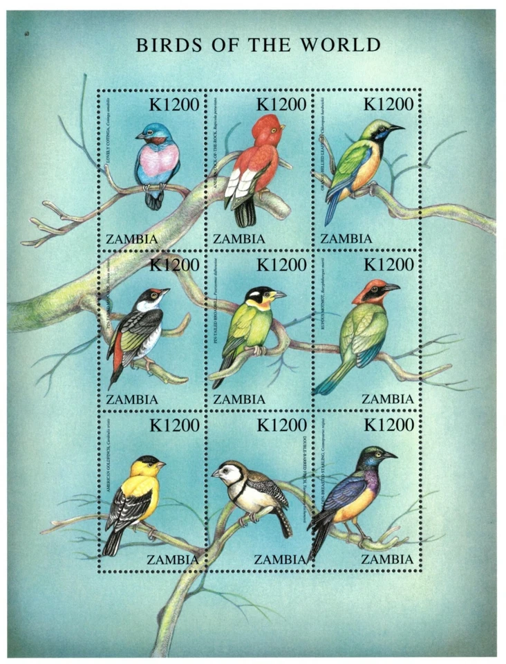 Zâmbia 2000 - Pássaros do Mundo - Folha de 9 Selos - Scott #899 - MNH - Imagem 1 de 1