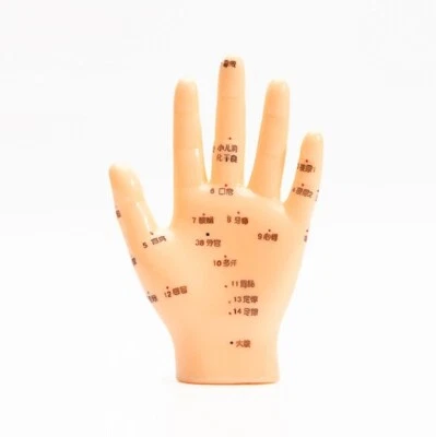 Equipo de enseñanza de medicina tradicional china modelo punto de acupuntura manual pediátrico Foto 1 de 2