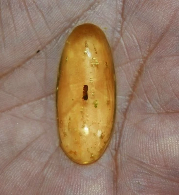 11.95 Cts. Natural Genuine Old Baltic Amber Untreated Certified Gemstone - Image 1 of 4