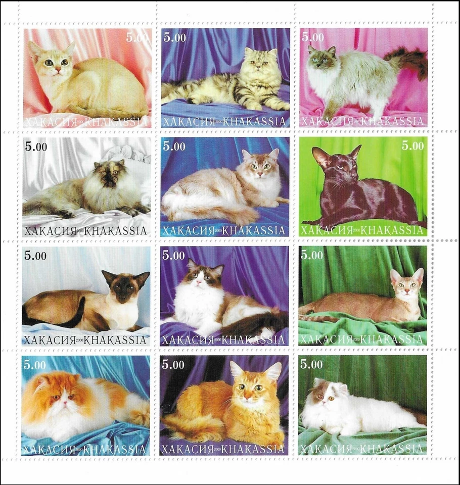Pedigree Cats Kittens Siberia Khakassia Mint MNH Miniature Sheet 2001 - Image 1 of 1
