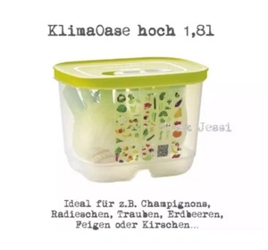 Tupperware, A181 Klima Oase 1,8l hoch , Klimadose, Obst und Gemüse Box🍀 NEU - Bild 1 von 1