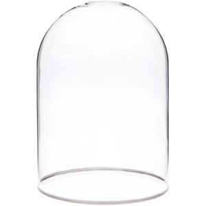 Plymor 5.5" x 8" Glass Display Dome Cloche with Silver Rim (no Base) - Bild 1 von 1