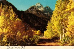 Postal de Colorado en otoño sin publicar - Imagen 1 de 2