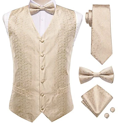  Traje Chaleco Pajarita Conjunto Corbatas para Hombres Vestido Cuello en V Pequeño Champagne Paisley Foto 1 de 4