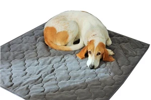 Hundedecke 100 x 120cm, anthrazit für Allergiker Hunde, kuschelweich - Bild 1 von 6